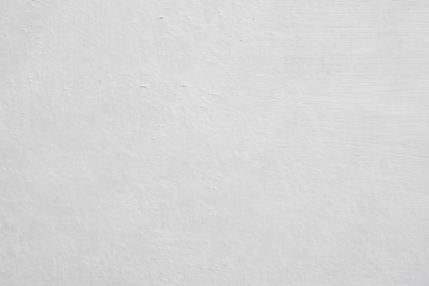 Best Mold Damage Restoration  in USA